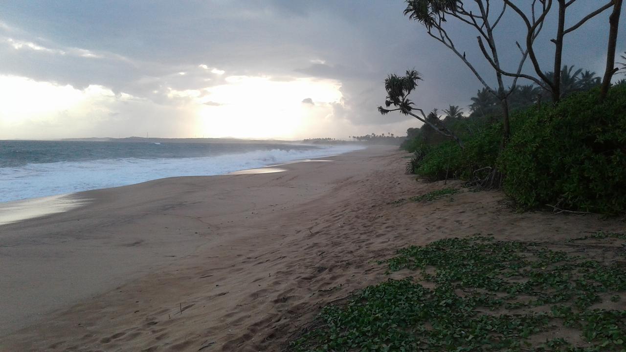 Turtle Watch Cabana Bed and Breakfast Tangalle Esterno foto